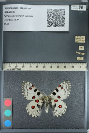 Media type: image;   Entomology 175015